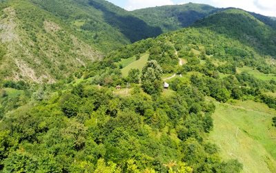 Seerbia: Na sat vremena: E01 – Loznica